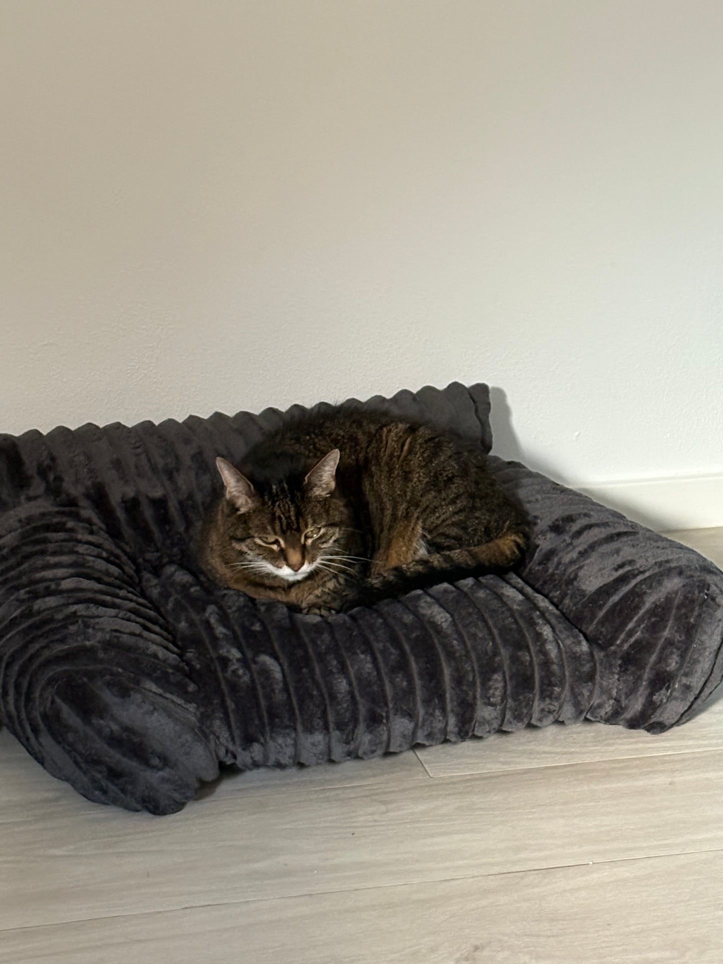 Hunde & Katztenbett "Cosy Grey" Dunkelgrau